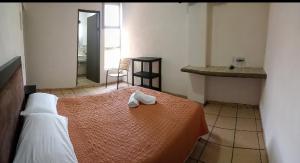 Hotel Casa del Arbol