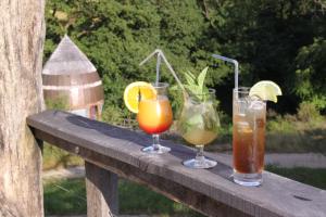 Terragora Lodges - Hebergement atypique : photos des chambres