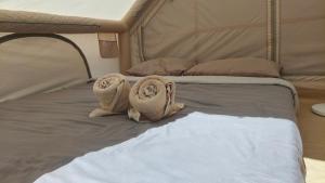 The Forest Camp Khaoyai เดอะฟอเรสแคมป์ เขาใหญ่
