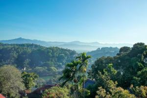 Green City View Kandy