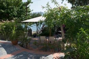 Roditses Beach Sea Front Apartments Samos Greece