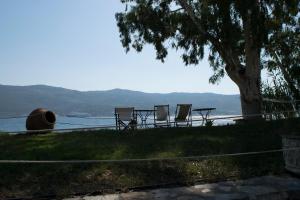 Roditses Beach Sea Front Apartments Samos Greece