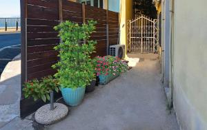 Angelique Apartment Corfu Old Town