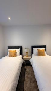 Cozy Two Bedroom Apartment