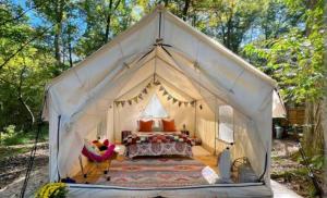 The alpine aura by lake & woods