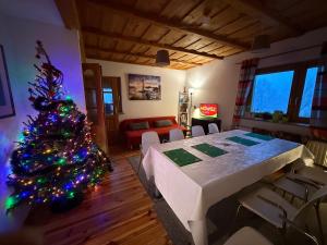 Pod Jeleńcem willa i dom z widokiem na Śnieżkę blisko Wang