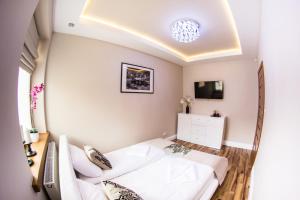 Zakopiańskie tarasy SPA Apartament Koliba