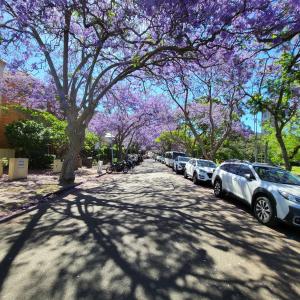 Sydney Harbour Views Minutes Away Sleeps 6, 3 Beds