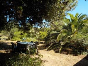 Charmante Bergerie à Bonifacio