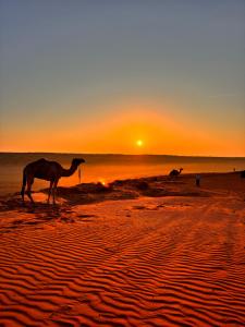 Stars Dunes Private Camp