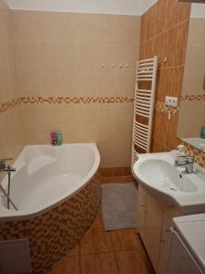 Apartmán U řeky Resslova