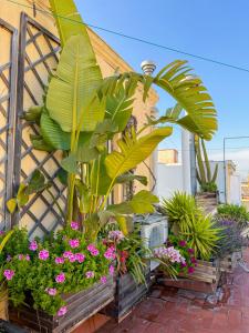 The Panoramic View Born Penthouse
