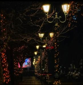 Cozy House near Center Staša