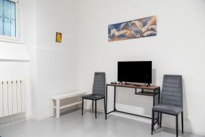 Lion Renting Vatican Apartment