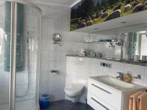 Alpspitzblick Riedel