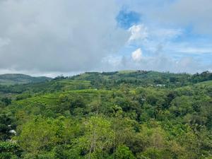 Manjappallil Resorts - Private Pool Cottage