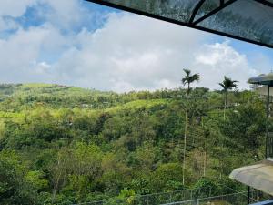 Manjappallil Resorts - Private Pool Cottage