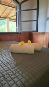 Fazenda Vitória Correntezas