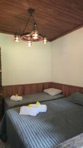 Fazenda Vitória Correntezas