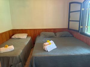 Fazenda Vitória Correntezas