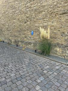 Ferienwohnung Clemens