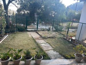 KAFAL TREE Home Stay - PET FRIENDLY