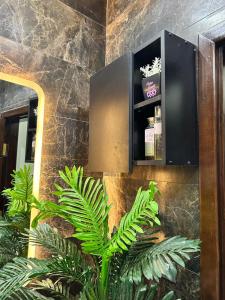 كورنيش النيل