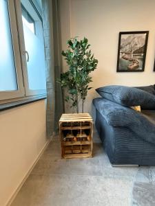 Moselzeit - Ferienwohnung "Spätlese"