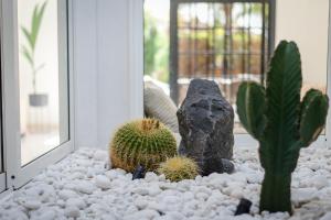 Villa 19 Duquesa Del Duque Resort 3 Bedrooms