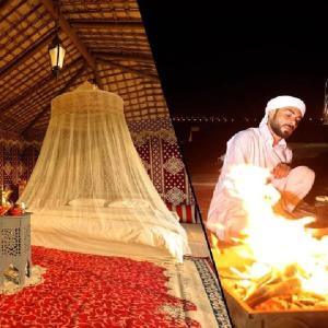 Evening Desert Safari with BBQ Dinner and Camping