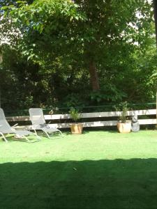 studio dans les arbres