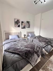 apartment in madinaty