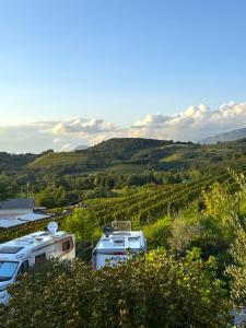 Saxida Wine & Camping Resort Pitches