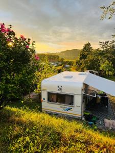 Saxida Wine & Camping Resort - Campsite