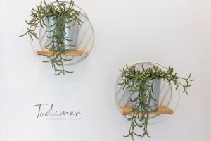 Todimer Ventana del Mediterráneo