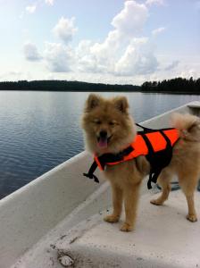 Lomavasara casa vacanza al lago in Finlandia