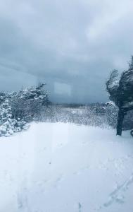Large bright summerhouse with sea view and close to the ocean