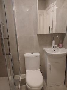 Dublin Central Spacious 3BR Apt in Temple Bar