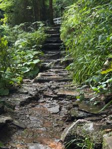 Panorama-Suite mit Kamin & Balkon, Ruhe, Weitblick & Natur im Schwarzwald