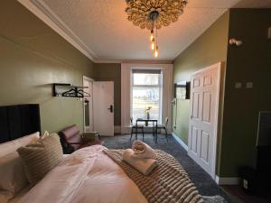 Hayy Studio Quiet Comfy Connected