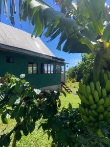Hare Sunset Rapa Nui