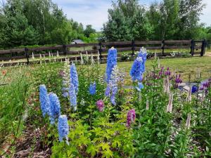 Przystań Jeziorowskie