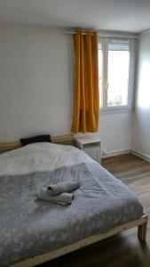Chambre Privée dans Appartement Partagé - Calme et Lumineux - Proche Bordeaux - Cenon- JJC1-2