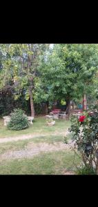 Departamentos bruno y hosteria violeta