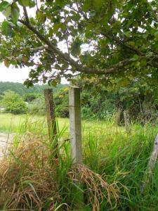 Casa de Campo com Piscina perto de SP Embu,Cotia