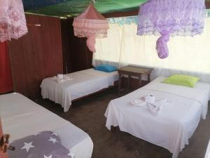 Tour iquitos & pacaya samiria lodge