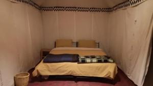 Colorado Desert Camp