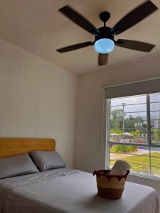 Large three-bedroom apartment Playa del Carmen