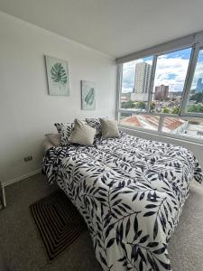 Edificio león Gallo