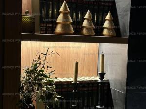 Appartement Standing - 100m Pistes, Vue Lac, 2 Garages - FR-1-295-216